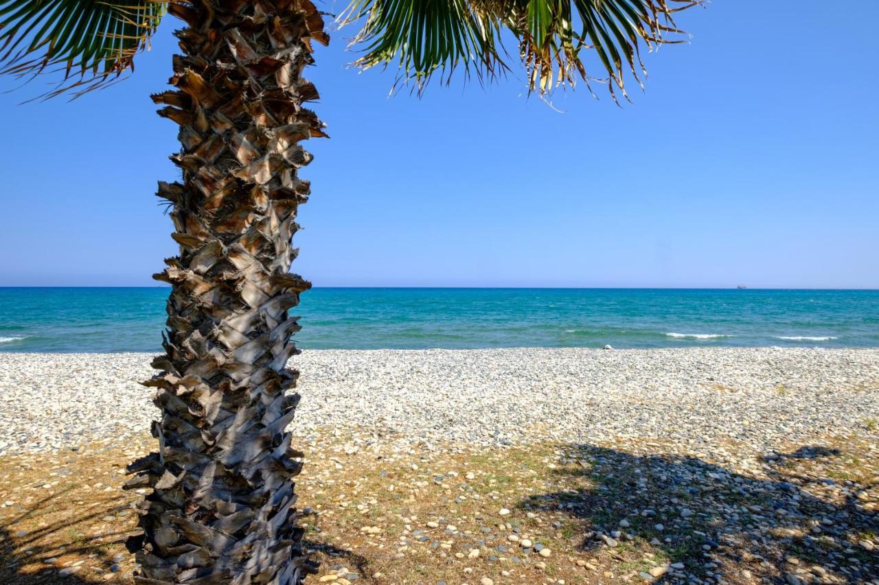 Oceanview Apartment Larnaca Dış mekan fotoğraf